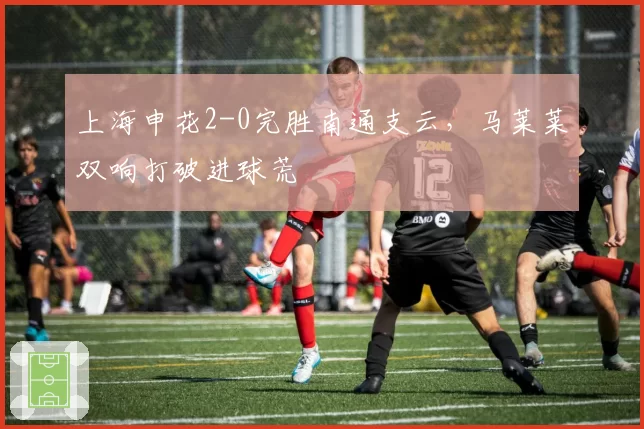 上海申花2-0完胜南通支云,马莱莱双响打破进球荒