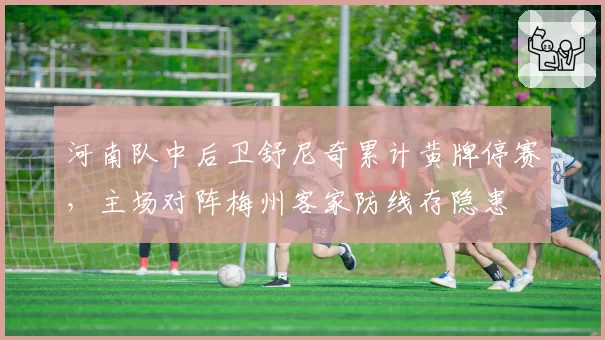 河南队中后卫舒尼奇累计黄牌停赛，主场对阵梅州客家防线存隐患