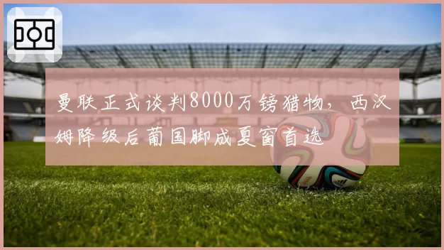 曼联正式谈判8000万镑猎物,西汉姆降级后葡国脚成夏窗首选