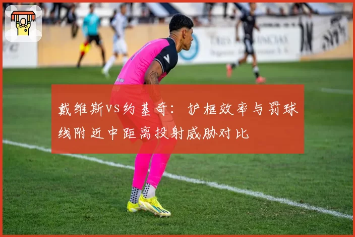 戴维斯vs约基奇:护框效率与罚球线附近中距离投射威胁对比