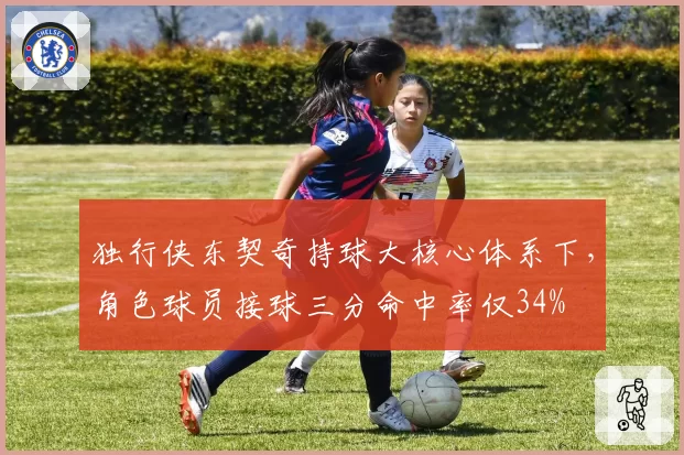 独行侠东契奇持球大核心体系下，角色球员接球三分命中率仅34%