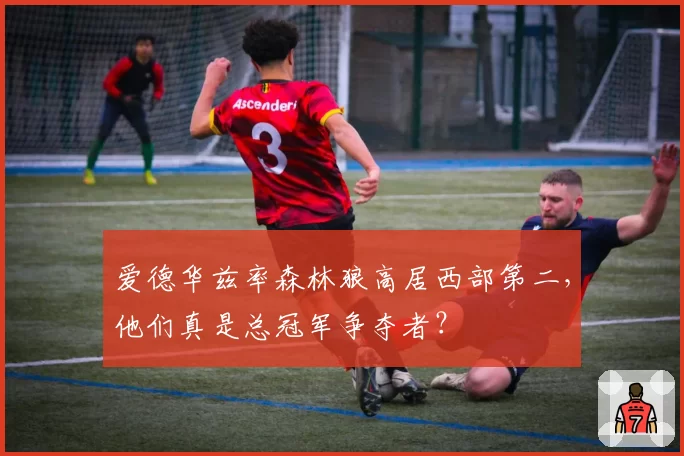 爱德华兹率森林狼高居西部第二，他们真是总冠军争夺者？